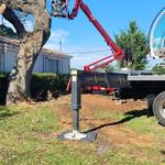 Branch Manager Tree Service - photo 7