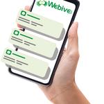 Webive Internet Marketing and Web Design - photo 6