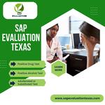 SAP Evaluation Texas - photo 3