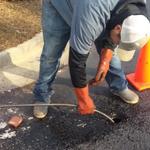 Magic Rooter & Water Cleanup - photo 3