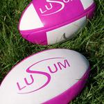 Sports Ball Shop - photo 2