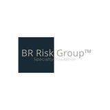 BR Risk Group Specialty Insurance - Financial Services in Boston
