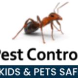 Ants Pest Control Perth  - Pest Control in Perth