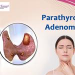 Dr. Anil Kamath - photo 6