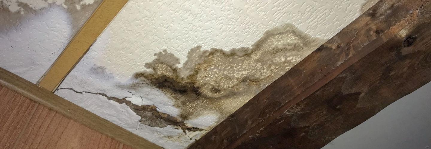 Mold Remediation Pottstown Results cover photo