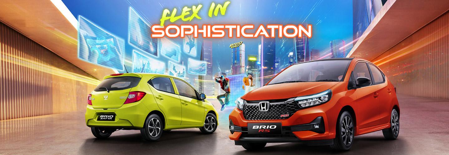 Shogunz Paint cover photo