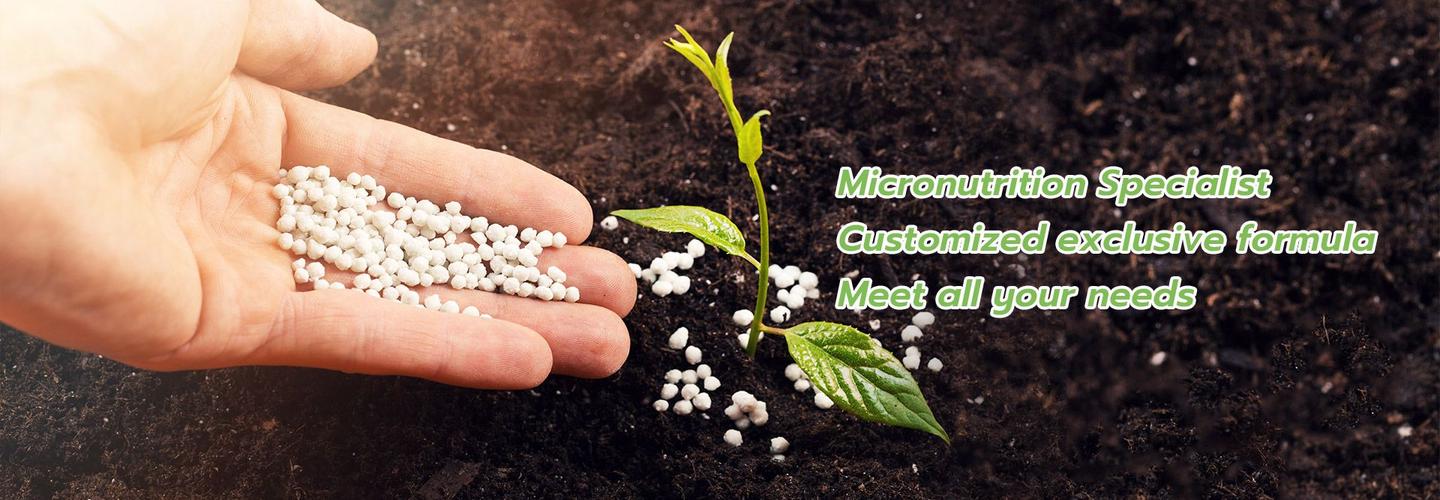 Changsha KingProlly Import and Export Co., LTD cover photo