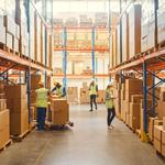 Best Palm Coast Movers - photo 4