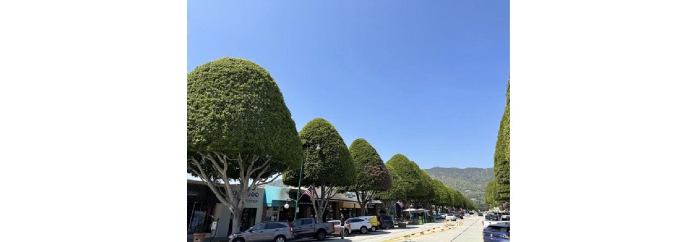 Pathways Wellness Center cover photo