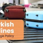 Flightaura - photo 4