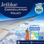 Flightaura - photo 5