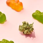 Kush Marijuana Delivery Dispensary - photo 7