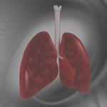 CPR Classes Redlands - Palm Desert Resuscitation Education LLC (PDRE) - photo 2