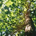 home services - photo 1