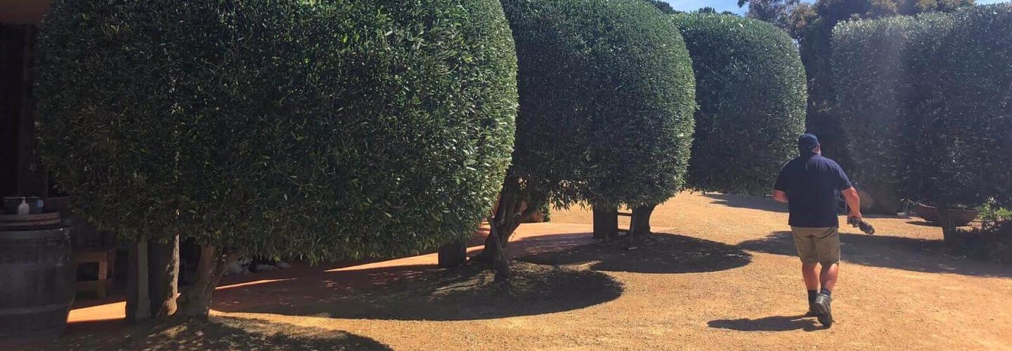 home services cover photo