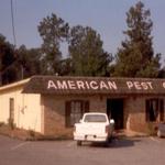 American Pest Control - photo 3