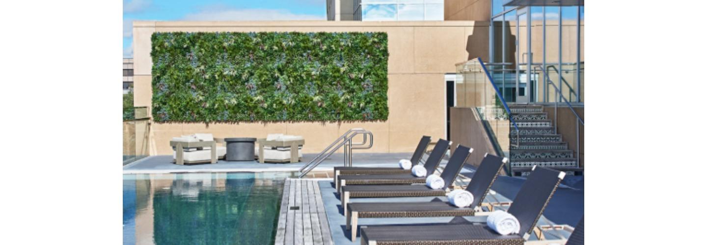 The Fontaine cover photo