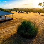 Ecopia Retreat - photo 1