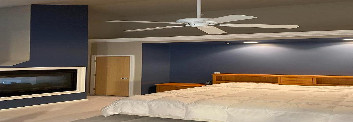 ​Deano's Deluxe Painting cover photo