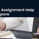 IT Assignment Help - photo 2