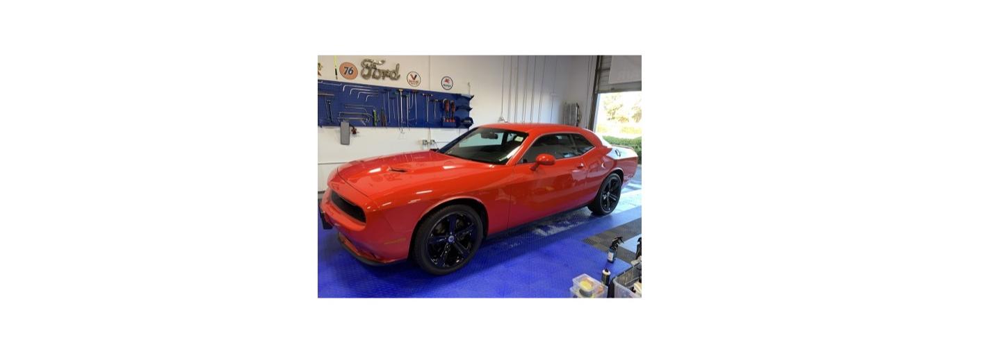 Ultra Protective Films cover photo