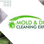 Mold & Duct Cleaning Experts - photo 1