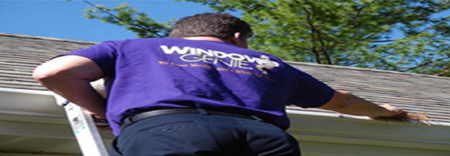 Window Genie of Northeast NJ cover photo