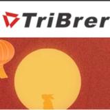 Zhejiang TriBrer Communication Limited  - Construction Site/ Building Site Cleaning in Jiaxing