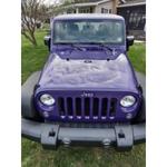 HighLine Shine - photo 2