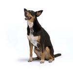 Splatt Lawyers Ipswich - photo 1