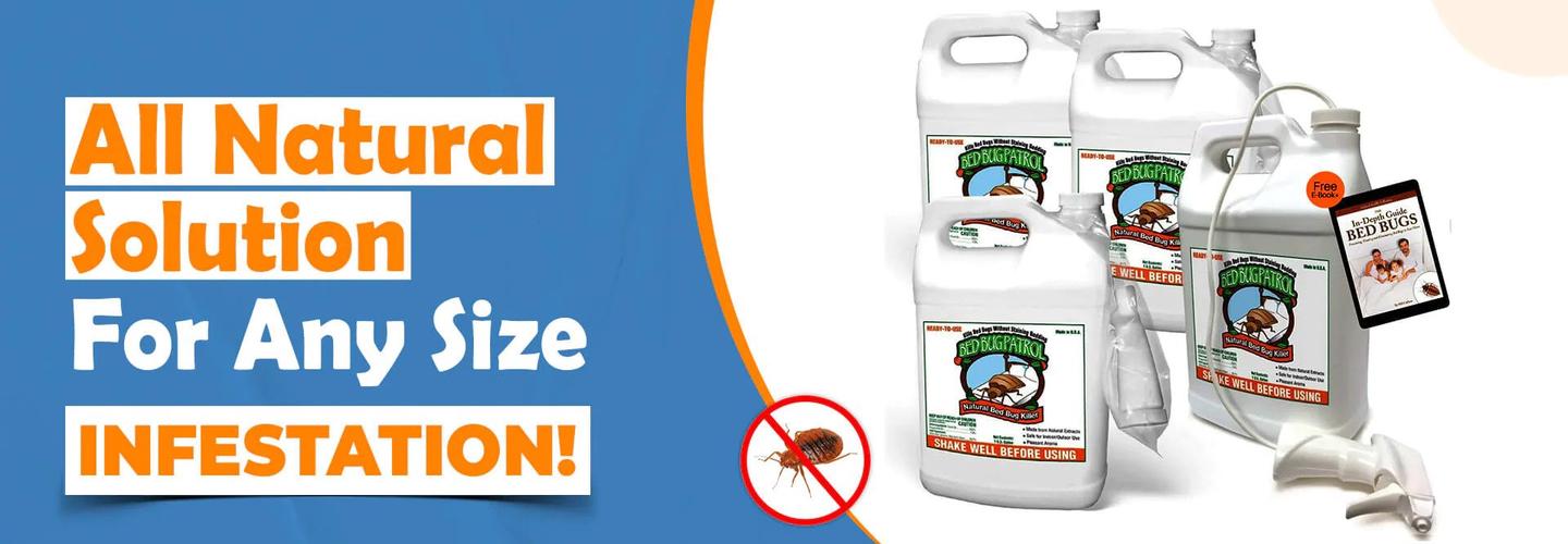 Bedbug store cover photo