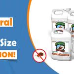 Bedbug store - photo 1