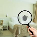 Bedbug store - photo 2