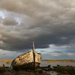 Steve Hedges Photography - photo 5