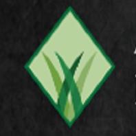 Arizona Luxury Lawns & Putting Greens - Artificial Turf