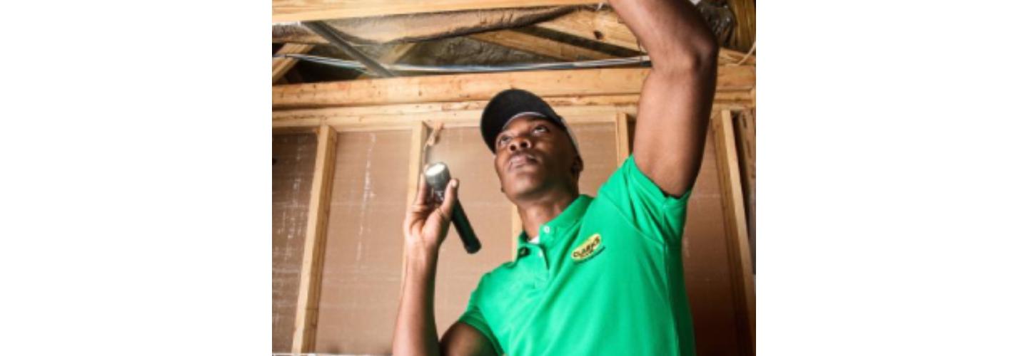 Clark's Termite & Pest Control cover photo