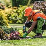 Timonium Landscaping - Landscaping in Lutherville-Timonium