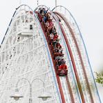 Van Martin Roofing - Mason - photo 3