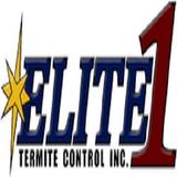 CapognI arthod - Automotive in North Massapequa