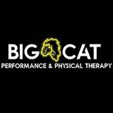 Big Cat Performance & Physical Therapy - Physical Therapy in North Canton