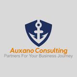 Auxano Consulting Works - Business Consulting in Mumbai