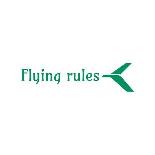 JetBlue Flight Change – Flying Rules - Travel Services