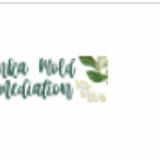 Synka Mold Remediation - Home Services in Stuart