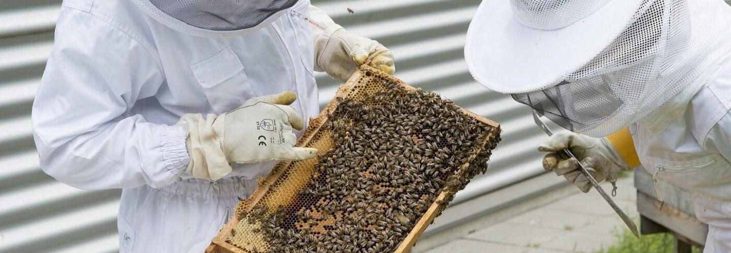 blue self storage Bridgend cover photo