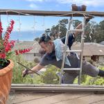 Window Cleaning Santa Cruz - photo 3