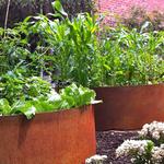 Lawn Edging - photo 1