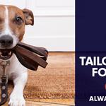 Always Training K9s - photo 5