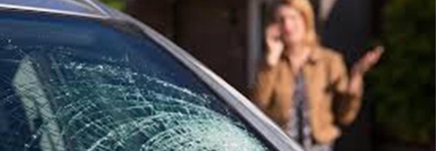 Haloring Auto Glass cover photo
