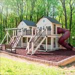 King Swings - photo 3