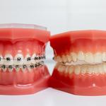 32ivorylane - photo 9